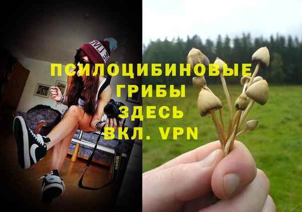 соль ск Бугульма