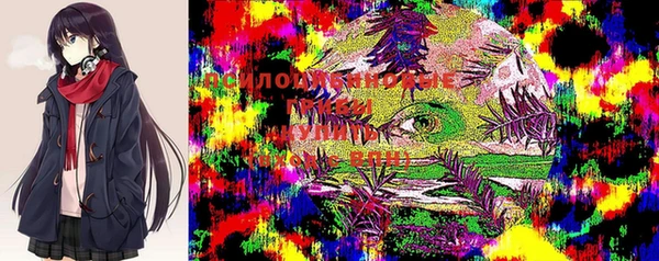 соль ск Бугульма