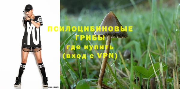 амф Бронницы